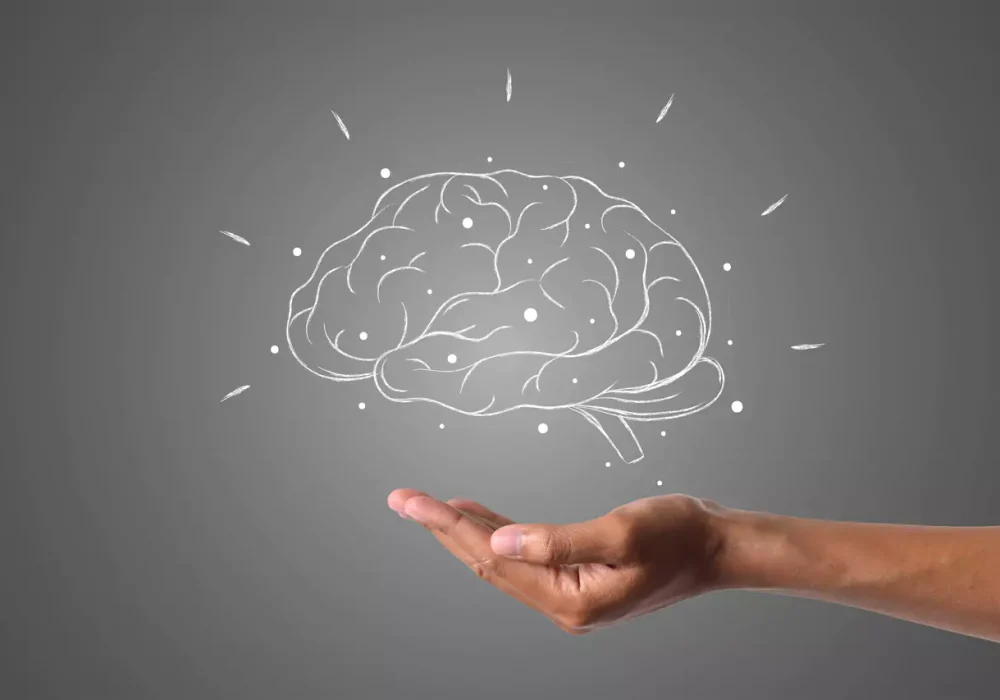 brain-writes-with-white-chalk-is-hand-draw-concept-easy-resizecom-674887a78aa6d